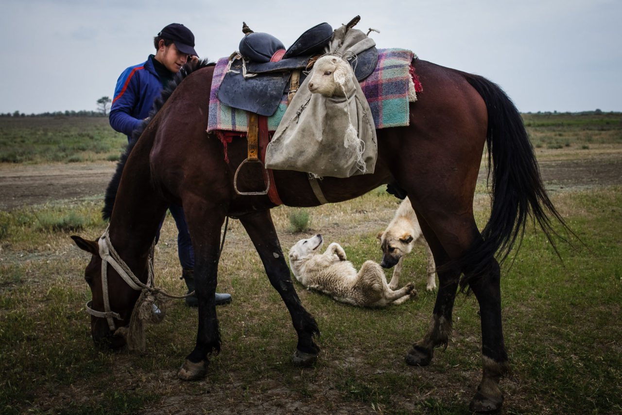 Changirej, der Sohn des Schäfers, am Telefon / Foto © Jewgenija Shulanowa