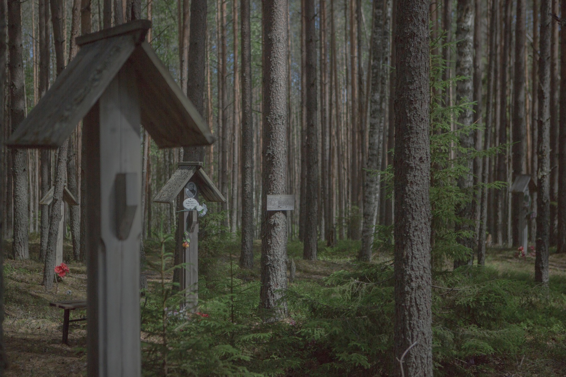 Die Hinterbliebenen der Opfer personalisieren Baumstämme, Pfähle und Erdstücke als persönliche Grabstätten / Foto © Anna Ivantsova