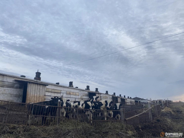 In der „Kolchose“ arbeitet der Großteil der Bevölkerung. Eine andere Arbeit gibt es nicht / Foto © Alina Ampelonskaja