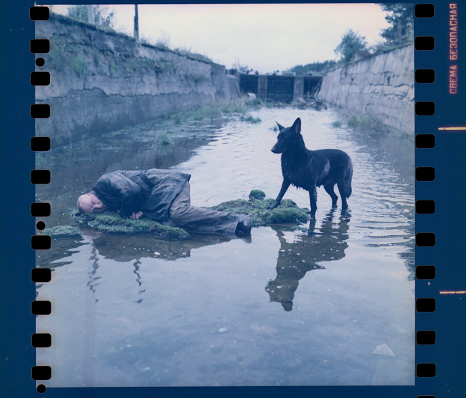 „Wie heißt er?“ „Hund.“ „Hat er keinen Namen?“ Sein Herrchen sieht ihn nachdenklich an. „Was weiß ich, Bello.“ / Foto © Alina Ampelonskaja