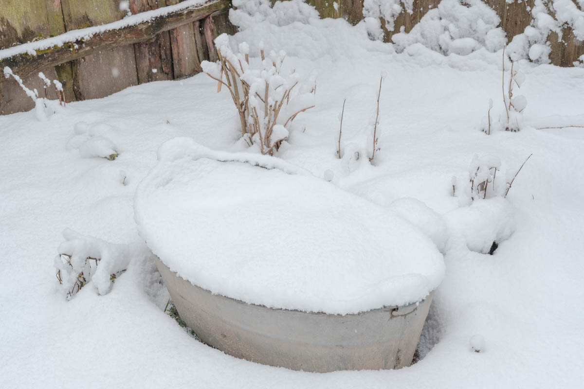 Kinderbadewanne, die gekauft wurde, als ich geboren wurde. Jetzt wachsen in ihr im Sommer Blumen, Malostowka, Januar 2021 / Foto © Tatsiana Tkachova