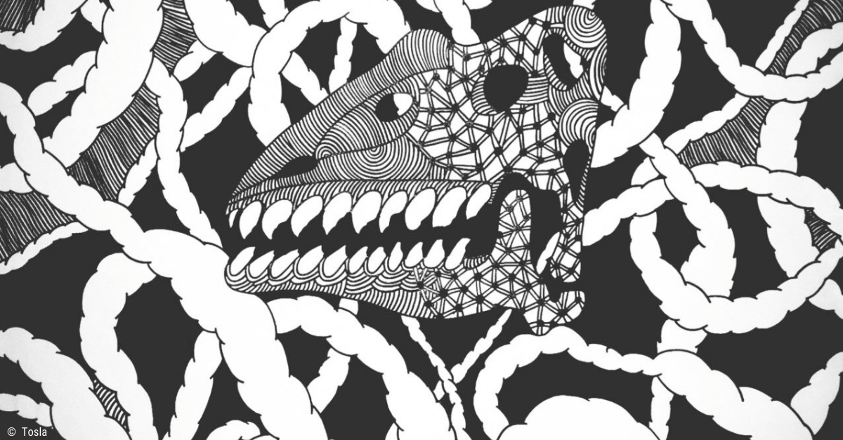 Von Fischen und Menschen