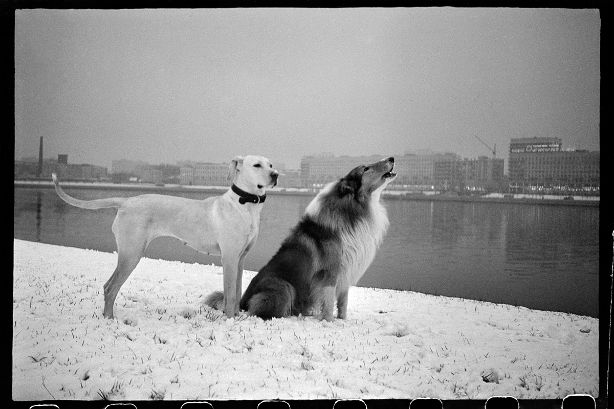Leningrad, 1977 © Mascha Iwaschinzowa