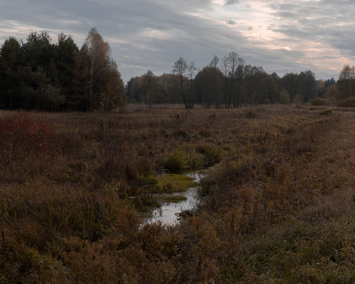 12.10.2021. Подляское воеводство, Польша. Типичный подляский пейзаж / © Енджей Новицки
