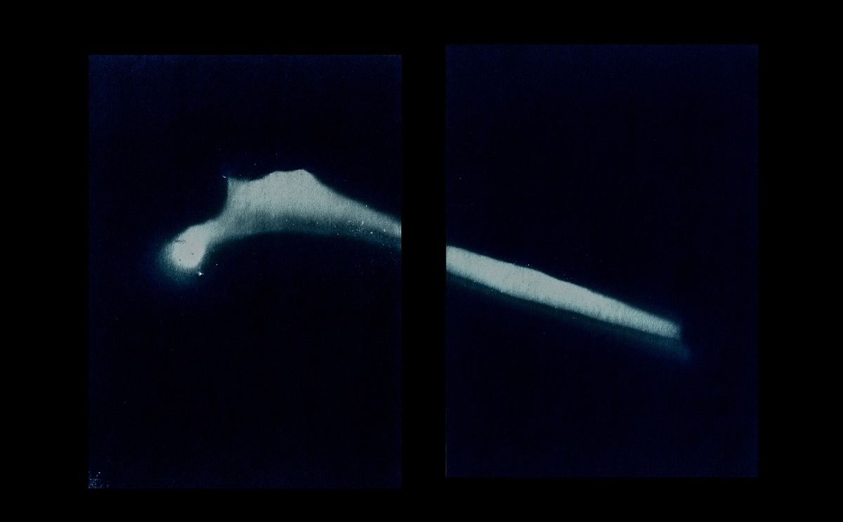 Femur (Oberschenkelknochen) eines menschlichen Erwachsenen. Gefunden im Wald von Blagowschtschina. Fotogramm, Minsk 2017 / © Foto Maxim Sarychau